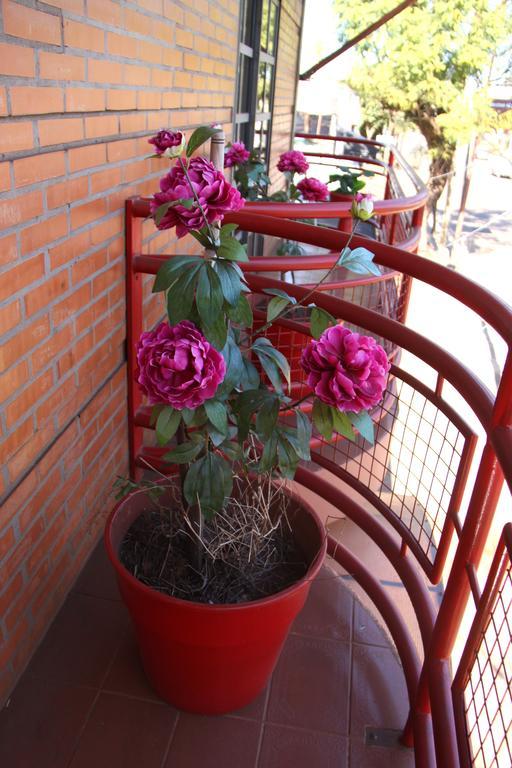 Hosteria Maryland Posadas Dış mekan fotoğraf